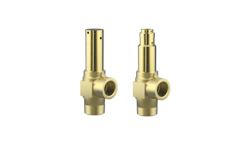 Cryogenic Safety Valves 