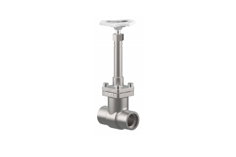 Cryogenic Gate Valves
