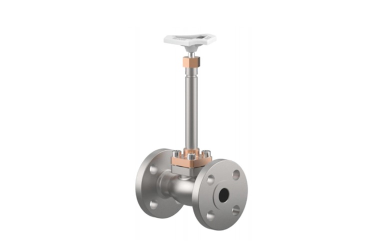 Cryogenic Globe Valves