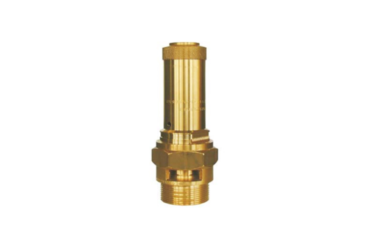 Safety Valves for Gases & Fluids