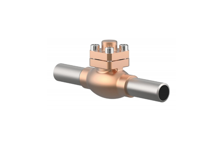 Check Valves